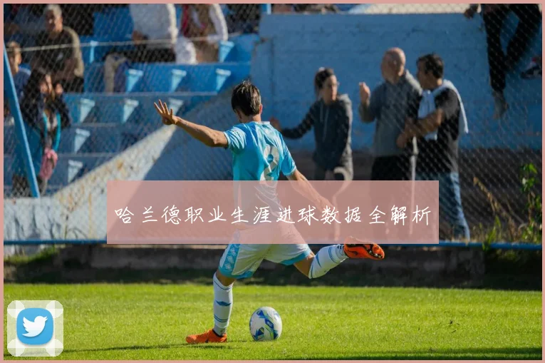 哈兰德职业生涯进球数据全解析