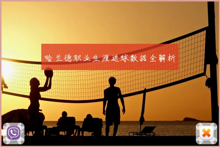 哈兰德职业生涯进球数据全解析